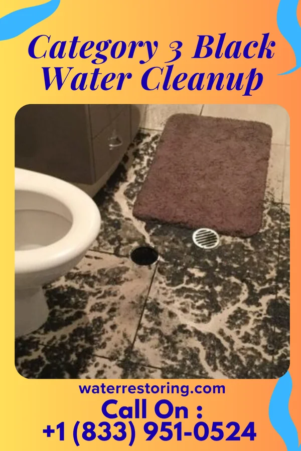 Category 3 Black Water Cleanup in Kiefer, OK