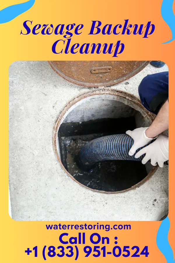 Sewage Backup Cleanup in Kiefer, OK